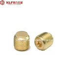 Brass Slotted Screw